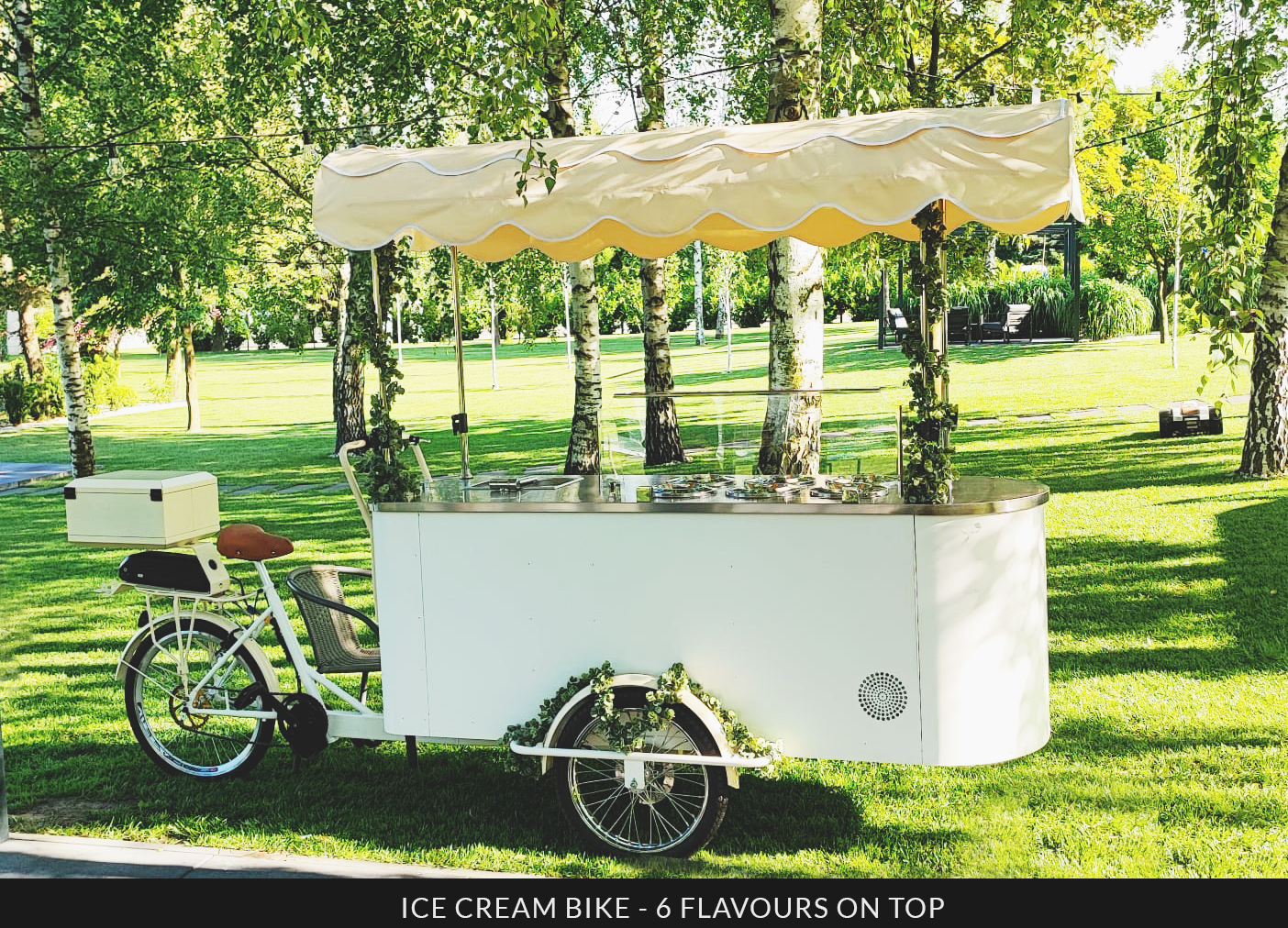 snackbike-portfolio-ice-cream-bike